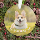 Search for plastic pet supplies Dogs