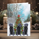 Search for labrador retriever christmas cards Black lab christmas