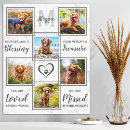 Search for single pet supplies For pets