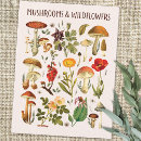 Search for wall art postcards Vintage