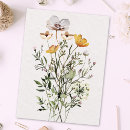 Search for dried postcards Boho