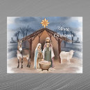 Search for manger postcards Sheep