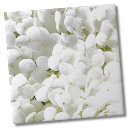 Search for white hydrangeas tiles For her
