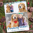 Search for three cats christmas cards Pet