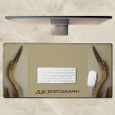Search for herons electronics Birds