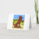 Search for irish cards Pet