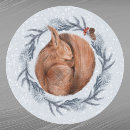 Search for red squirrel stickers Snow