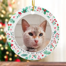 Search for first christmas tree decorations Pet photo