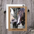 Search for whisperer postcards Humour