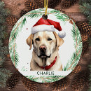 Search for yellow labrador christmas tree decorations Pet