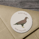 Search for golden bird stickers Wildlife
