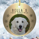 Search for golden christmas tree decorations Puppy