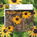 Search for black eyed susans postcards Botanical