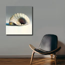 Search for sassy art Seashell