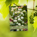 Search for vineyard engagement party invitations Wine