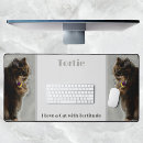 Search for tortie electronics Tortoiseshell cat