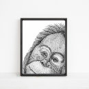 Search for black and white monkey art Animal