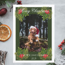 Search for cute dog christmas cards Red and green