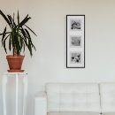 Search for photography posters Simple