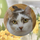 Search for photo badges Picture