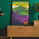 Search for hawaii sun art Travel