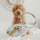Search for dog collars Pets details