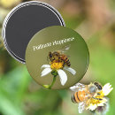 Search for pollinating magnets Save the bees