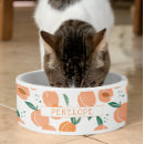 Search for monogram pet bowls Pattern