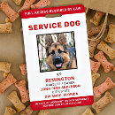 Search for service dog id badges Official