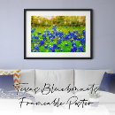 Search for bluebonnet posters Wildflowers