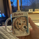 Search for busters Dog