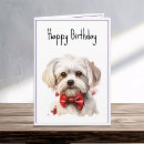 Search for maltese birthday cards Cute
