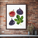 Search for fig art posters Watercolor