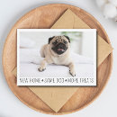 Search for funny pets postcards We have moved