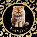 Search for angry cat mugs Crazy cat lady