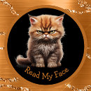 Search for cute orange tabby cat mugs Crazy cat lady