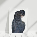 Search for tail posters Nature