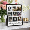 Search for photo pet memorials Simple