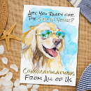 Search for funny congratulations cards Colourful