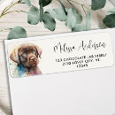 Search for chocolate lab return address labels Pet