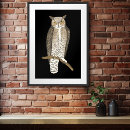 Search for owl drawing posters Cute