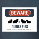 Search for cute guinea pig posters Funny