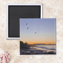 Search for surfing image Seaside