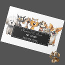 Search for funny cat business cards Animal care