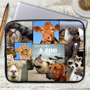 Search for dogs laptop cases Pets