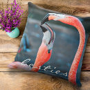 Search for flamingo cushions Bird