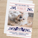 Search for adoption day seasonal cards Cute