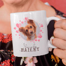 Search for love my cats mugs Pet