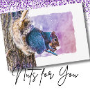 Search for squirrel valentines day cards Woodland