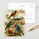 Search for bird postcards fine art